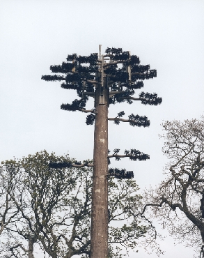 Powertree
