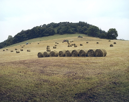 Bales