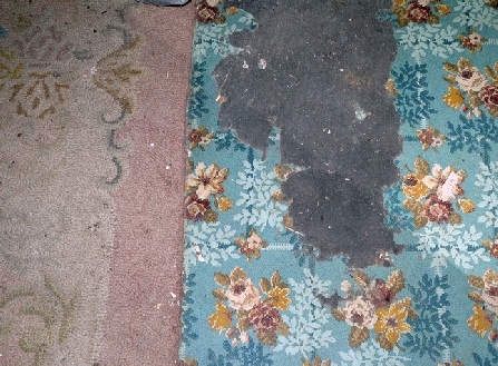 Carpet