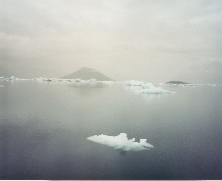 Iceberg