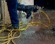 Tyddyn Mon Residency - Washingshoes