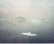 Iceberg
